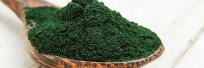 Spiruline Toulon